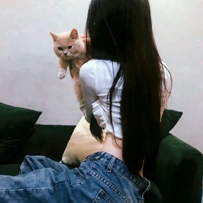 哎呀好身材第四季